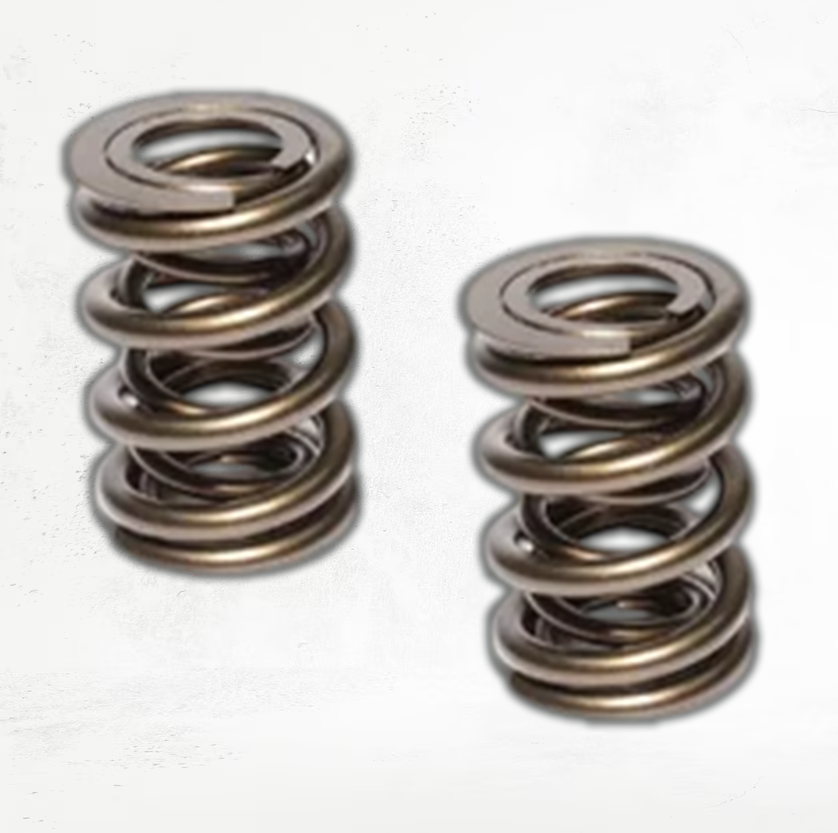 Inner Outer Springs
