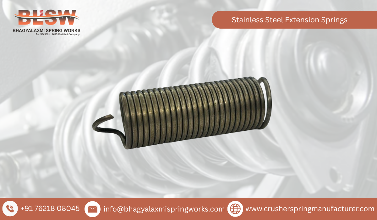 Stainless Steel Extension Springs